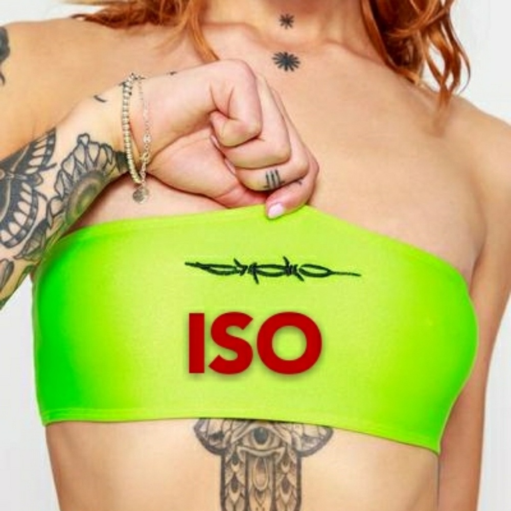 ISO HOES BEFORE BROS BARBWIRE BANDEAU BIKINI TOP